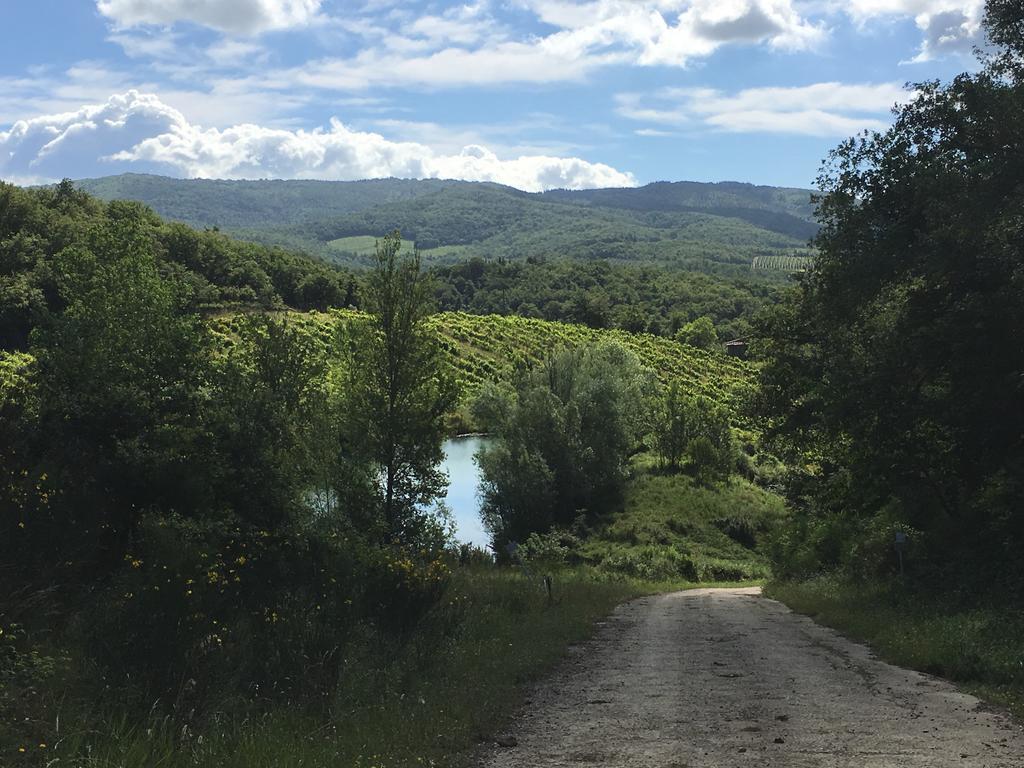 Podere Terreno Alla Via Della Volpaia Рада ин Кианти Екстериор снимка