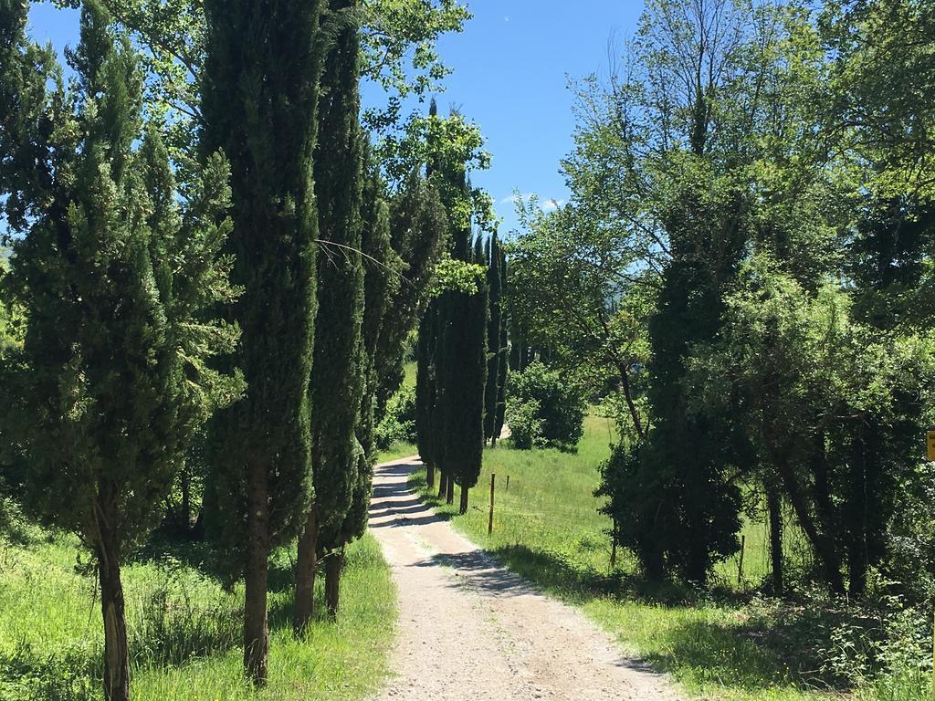 Podere Terreno Alla Via Della Volpaia Рада ин Кианти Екстериор снимка