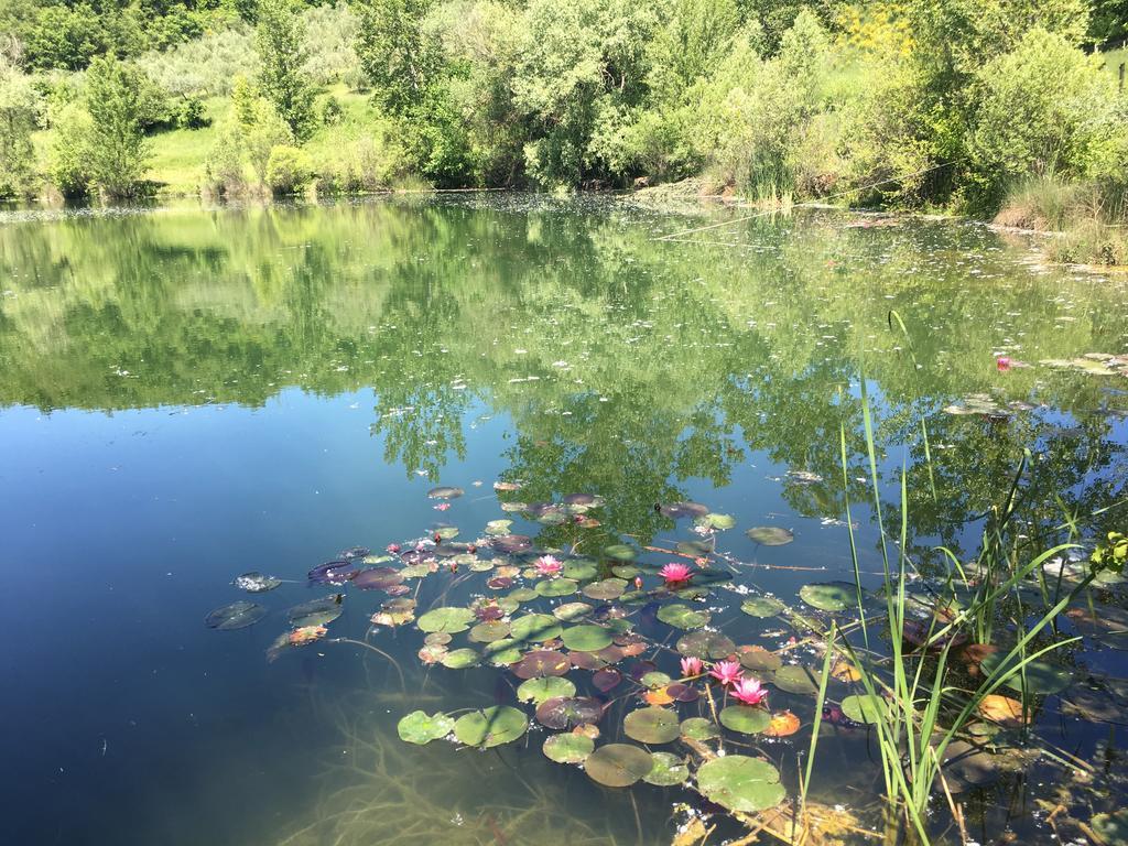 Podere Terreno Alla Via Della Volpaia Рада ин Кианти Екстериор снимка