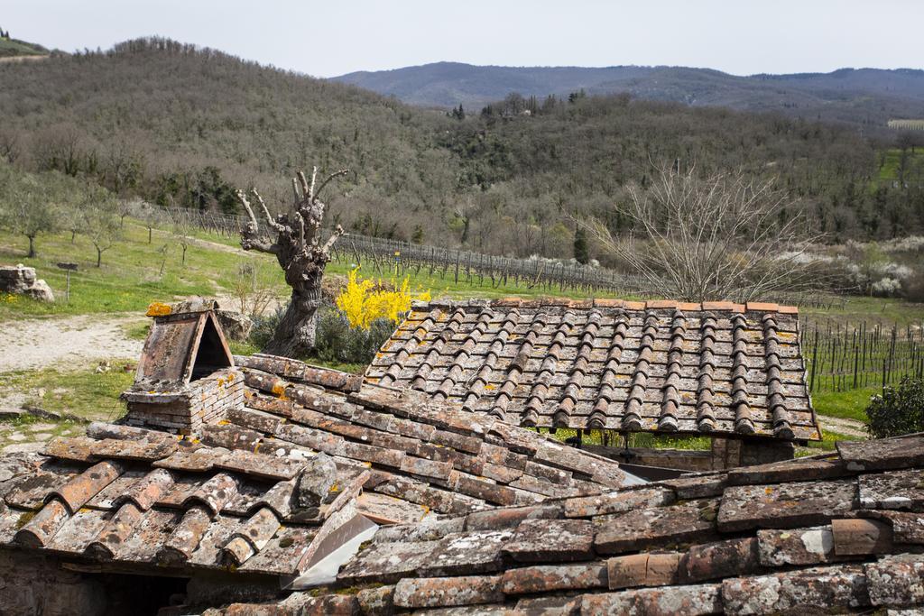 Podere Terreno Alla Via Della Volpaia Рада ин Кианти Екстериор снимка