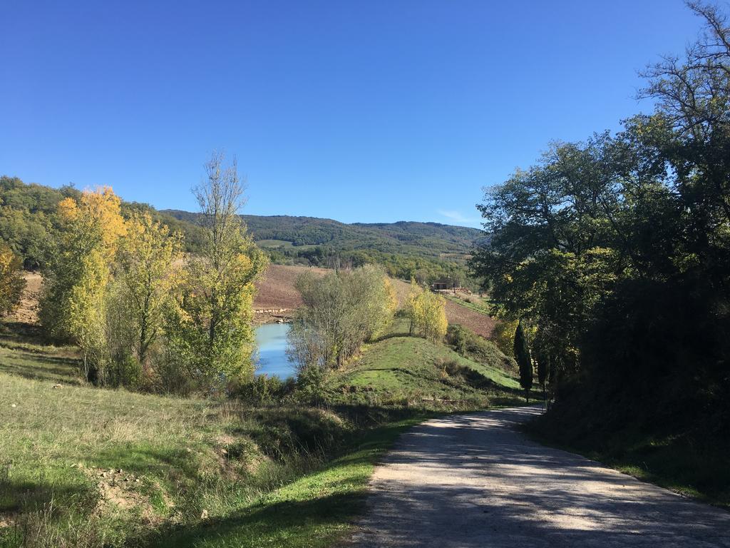 Podere Terreno Alla Via Della Volpaia Рада ин Кианти Екстериор снимка